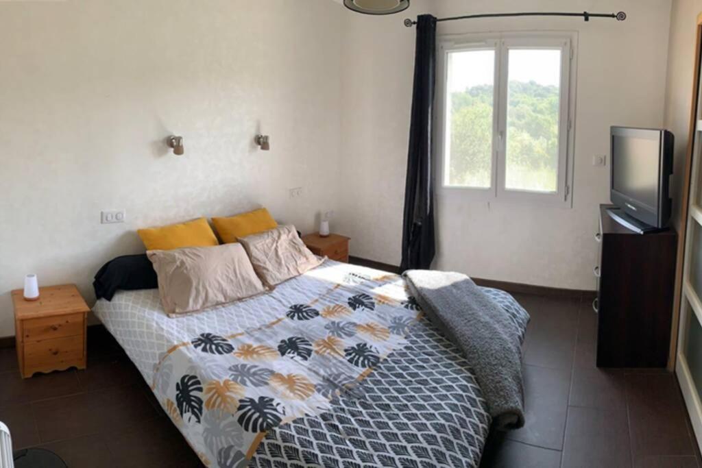 Maison Spacieuse Et Calme Pres De La Cite Villa Alairac Luaran gambar